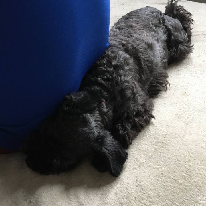 Cd3f062d 5caa 46d2 a83f 3f47dc810339 1572750254801