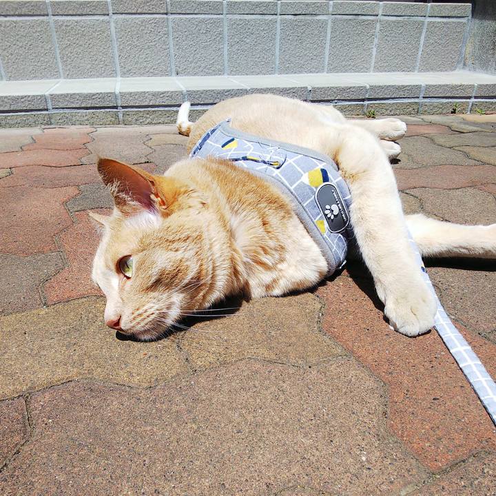 Cd3f0c4b 0501 47d4 b04c 6fd1db05158c 1651806560617