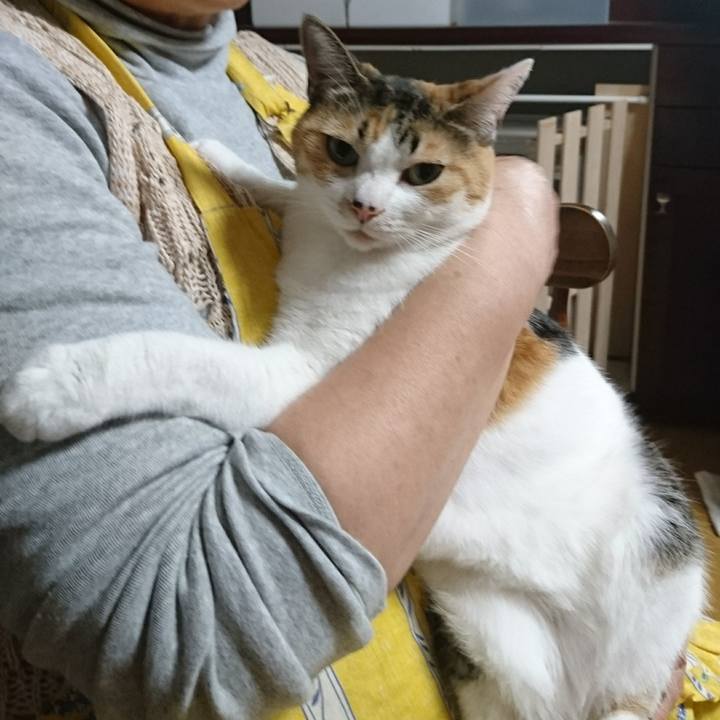 Cd3f257a 1510 4b8f b3fb c03ba41520cf 1525511989290