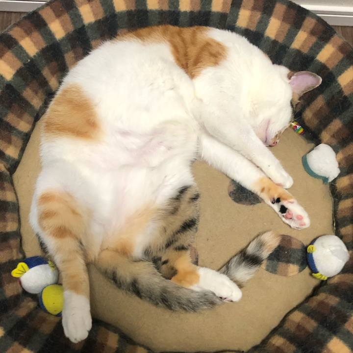 Cd3f4c16 d382 4c06 8988 6cc5a41f244c 1592317648942