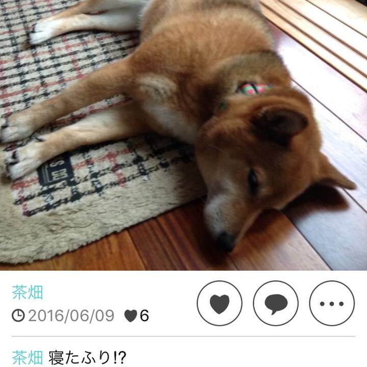 Cd3f506f 521c 4b2d 8da3 4acc5d9b12d1 1590821498997