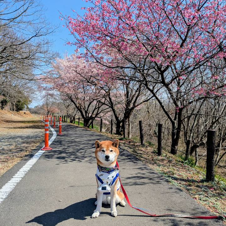 Cd3f5b5c 7ec3 47d7 8552 f943a3f260db 1773201293463