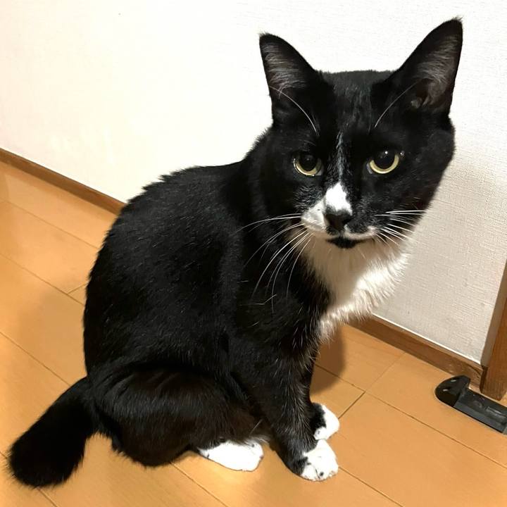 Cd3f72b6 66ba 411a 9140 771e223af55e 1728915358595