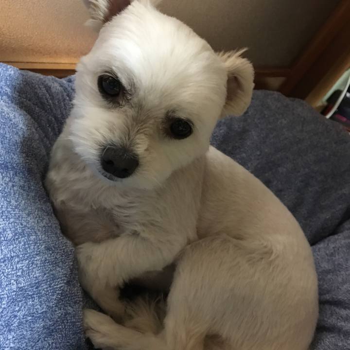 Cd3f76c6 c957 41da 9ddd 10ca665fa555 1524310788927