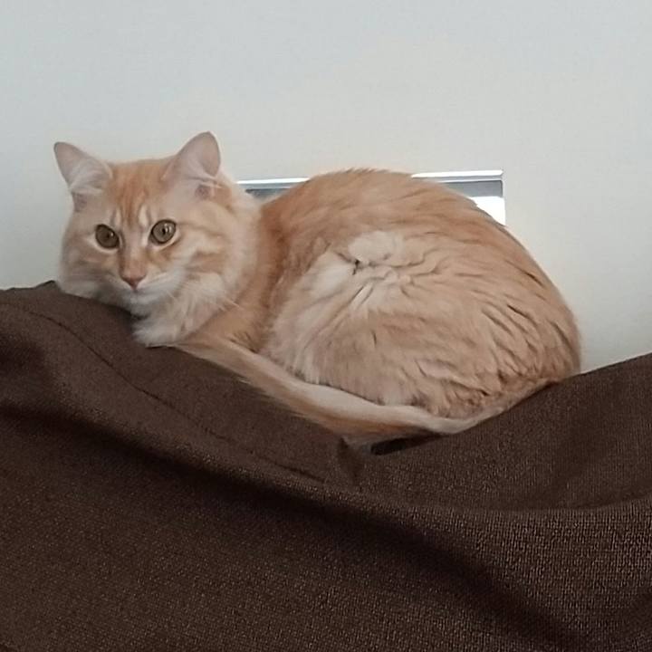 Cd3f79b2 6fc8 4b2d 919d 9a18083c567a 1636684301489