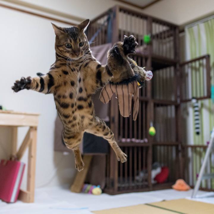 Cd3fb682 a76d 4e06 a3a8 3ef1d2e5432f 1518530483442