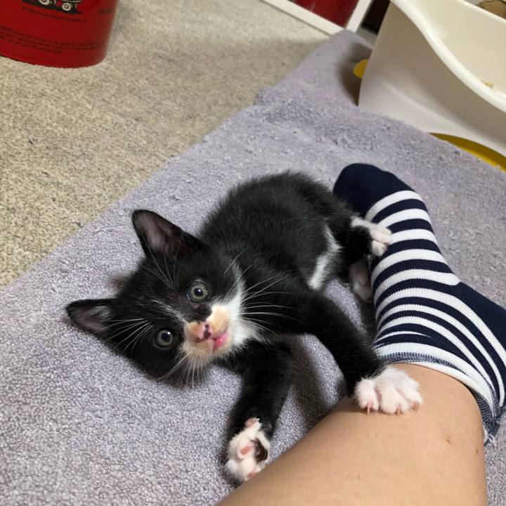 Cd3fc1f0 a264 43b3 a9be ac1d0adc285a 1537024314412