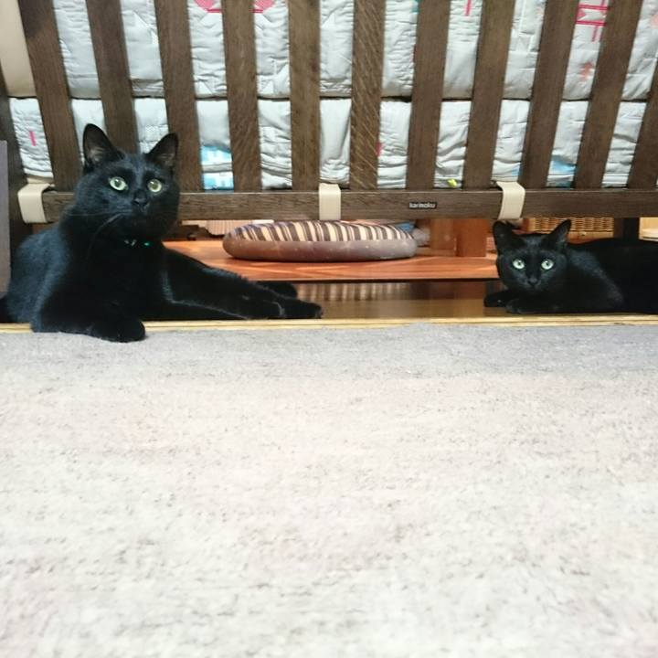 Cd3ff5f7 3abc 43e1 b21b 6066481afdc1 1532782806697