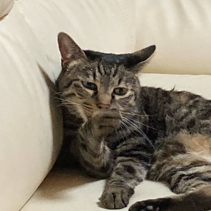 Cd40065f 043f 4ad4 ba6e a6c3d62a6666 1658556241212