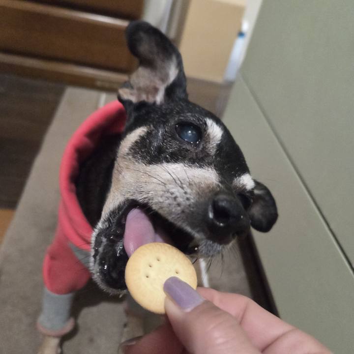 Cd403289 523a 4fcc a3a4 450104f8c951 1767988141997