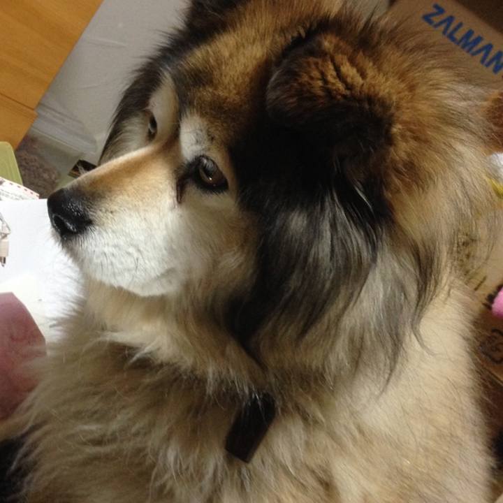 Cd406e90 9daa 4e25 aeae ffc8471ba8e2 1638798869044