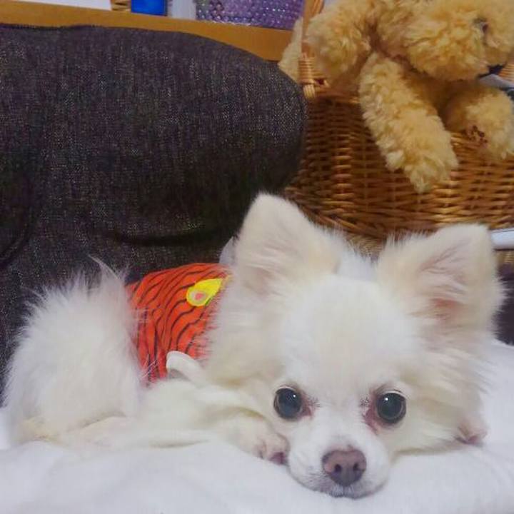 Cd408d9c 473c 40b9 bf4c 922c52ec2df4 1542368317326