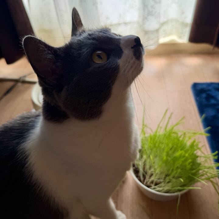 Cd408e05 666c 48f2 9fdd eb657ce8ab46 1775093813748