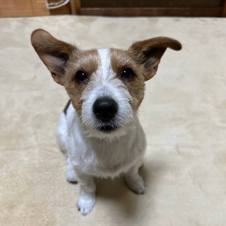 Cd40e69e 717a 4533 aa5b 768255b2fa6e 1770843094419