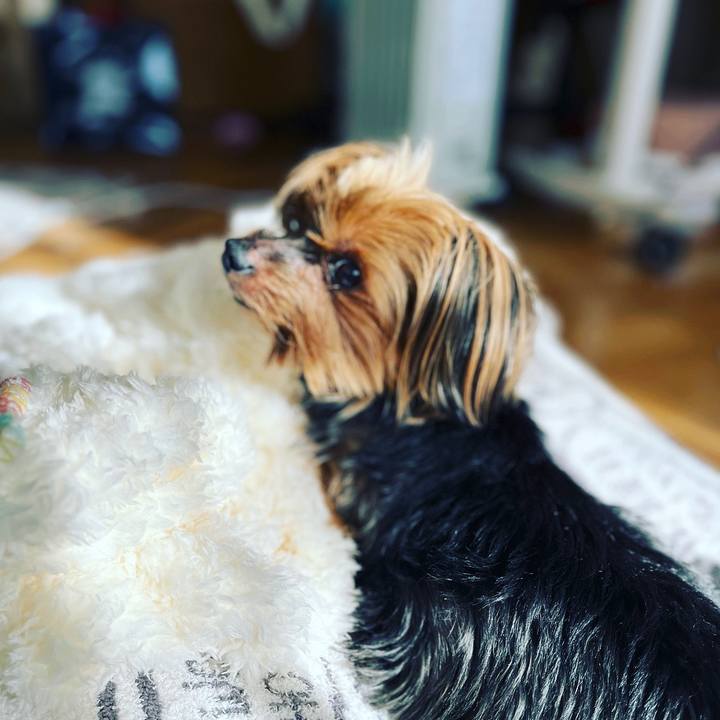 Cd410235 58b2 4977 9e1e dc371cf1098c 1670127195712