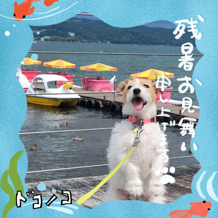 Cd416fdd 55e0 40e1 93cb 6d679d2171a2 1723180889224