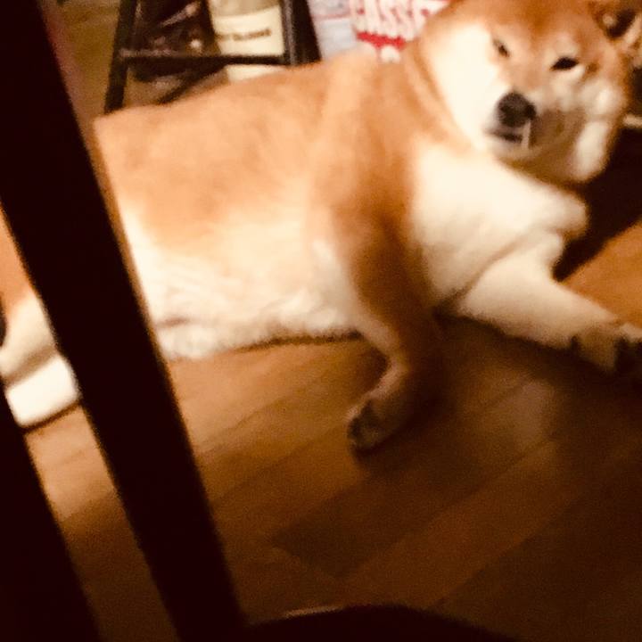 Cd418ae1 b2b0 4e2f 87ad 4a803593cae7 1584021051464