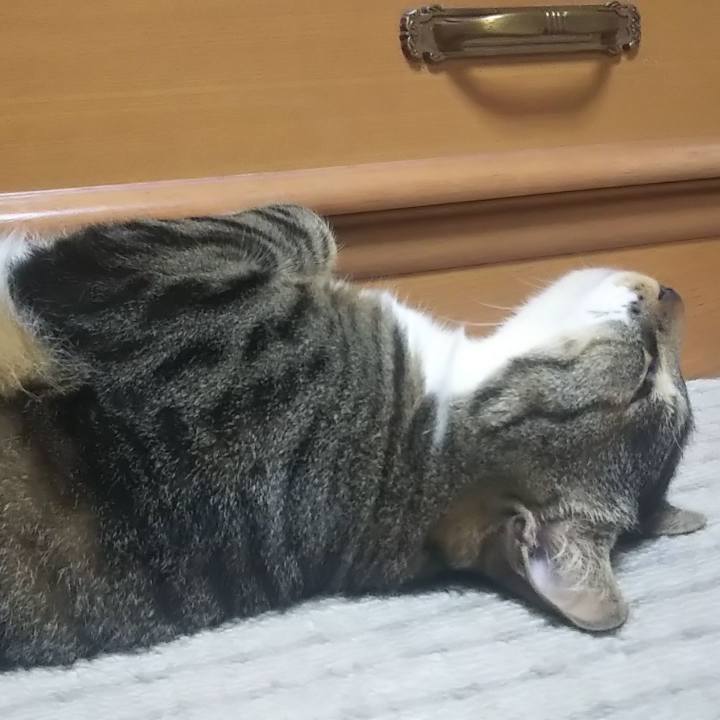 Cd41a0a8 fc52 4a6b a8a7 db79d99ec27e 1621337938510