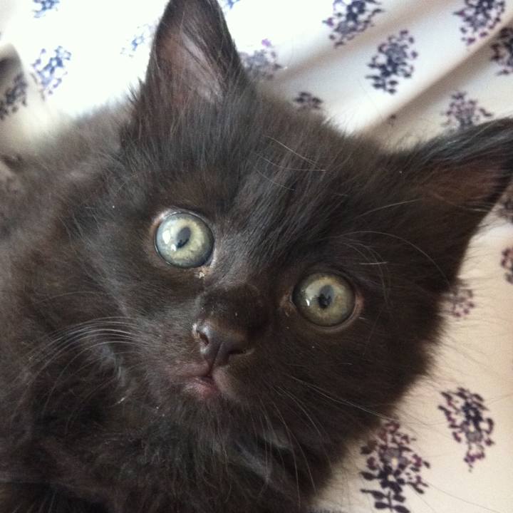 Cd41b3a6 0006 4a9e b64b 1a4fbc5fe286 1524192810188