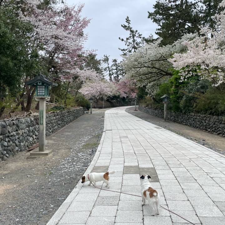 Cd41bc86 09db 4143 9b1a 40977c89fe7c 1680738794695