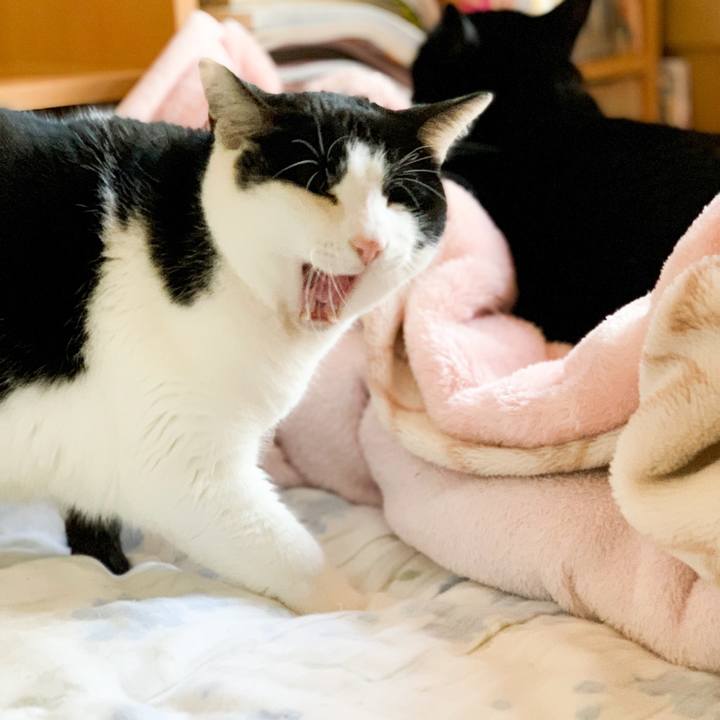 Cd41e862 9dd3 4779 881d c73fc4ca9429 1549592857563