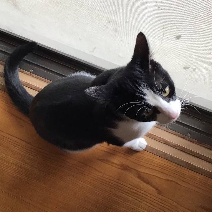 Cd41f120 7a75 4f2d b4d2 47a918ab368d 1658141188032