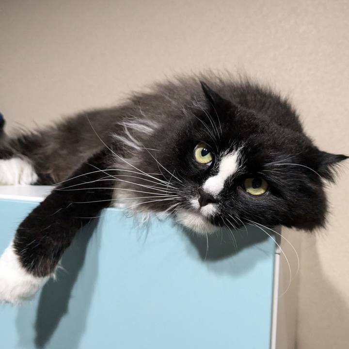 Cd42017e 8754 4496 8ce4 c9c141c8f7ec 1724598482072