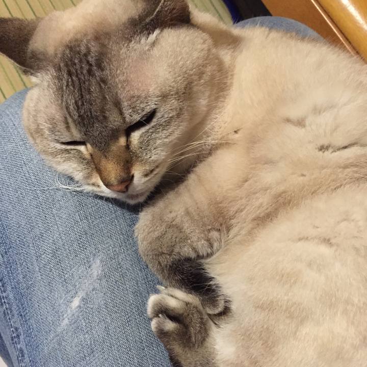 Cd421a73 e10a 4a30 86d2 e240db624843 1539341788067