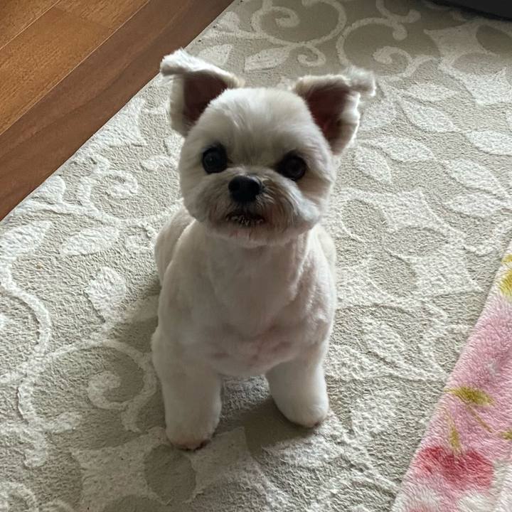 Cd421c2c d289 414d 806e 016c1647357a 1711781844322