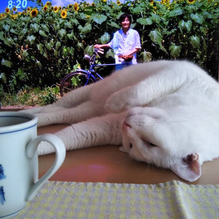 Cd424476 0105 4249 8c34 1aededfbe487 1596929005920