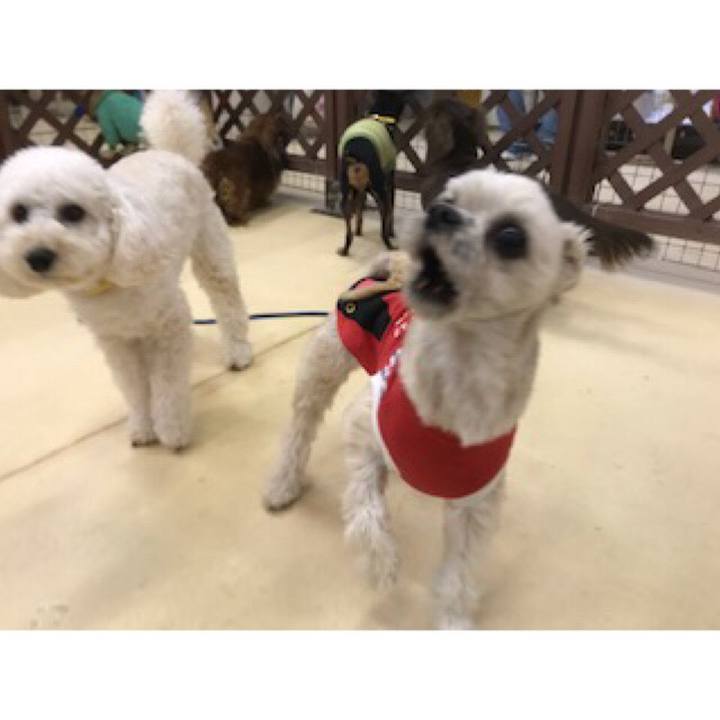 Cd424a57 a726 49d8 876b a5b63fa46374 1550139657303