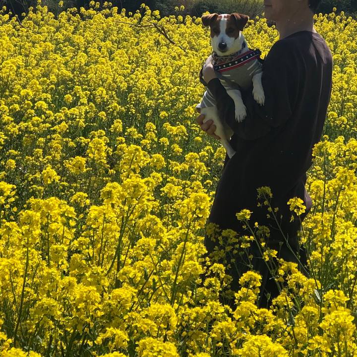 Cd425d5e a222 4790 ab94 3ab561651694 1617792337645