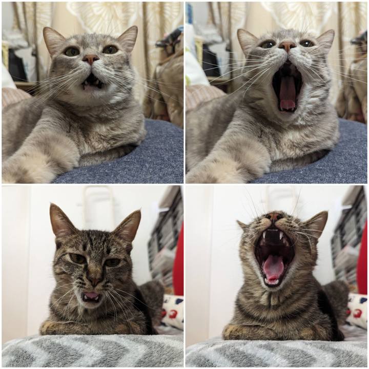 Cd42b274 3280 453c bb72 81b805d701c4 1714624337433