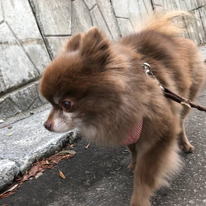 Cd42b4e4 95b0 436c 9ba1 062f91eb868f 1580443112263