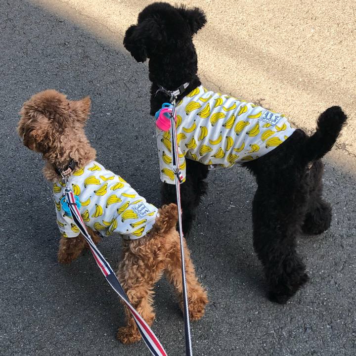 Cd42daac 2cad 47db 8baf b92dba2c74ac 1555137705610