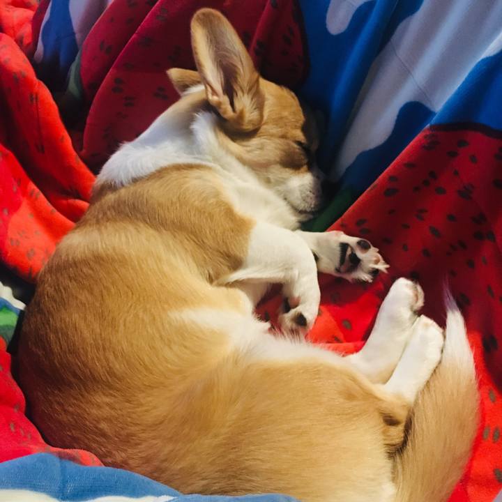 Cd42f537 a4c5 4927 bf07 c448184277ad 1571802211844