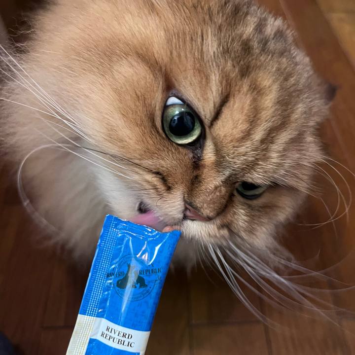 Cd432d9c c00a 451b a347 707a41e76acc 1672552495922