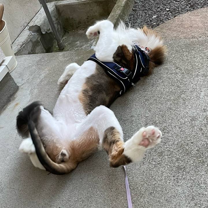 Cd4350c2 6ea6 41df a5c2 ff72a5e53831 1688333803241