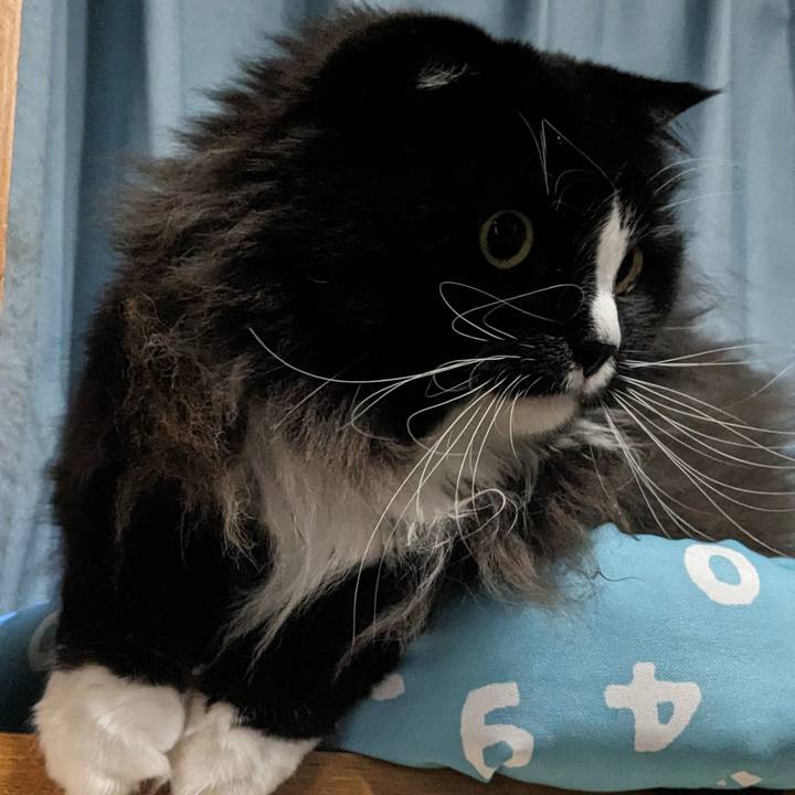 Cd435367 d3d6 4b62 a534 dea2da0ce185 1700777264125