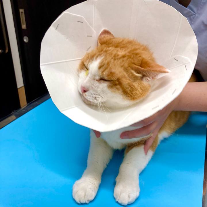 Cd437cc7 7bed 4101 9e56 e16121a74582 1662775648981