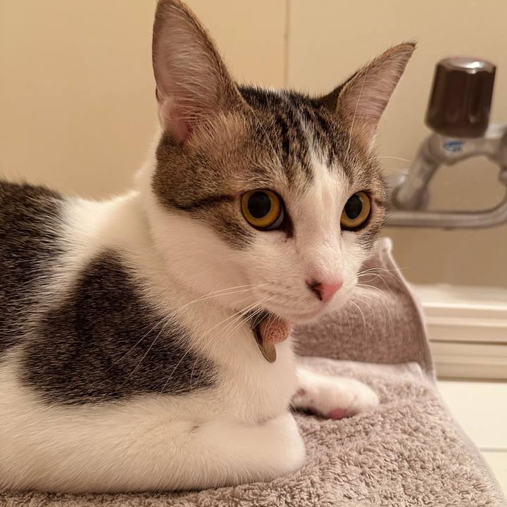 Cd43e622 98d1 4d63 a3e1 fd33ff87eeb8 1773443725904