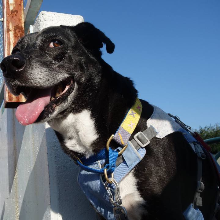 Cd43f94c 24a8 4f93 8665 6aaac7381bed 1753487438235