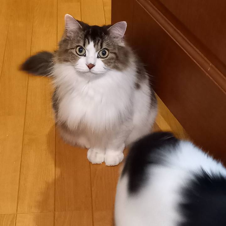 Cd444c5d 31f3 4712 9e02 3f4e06373c76 1634982955742