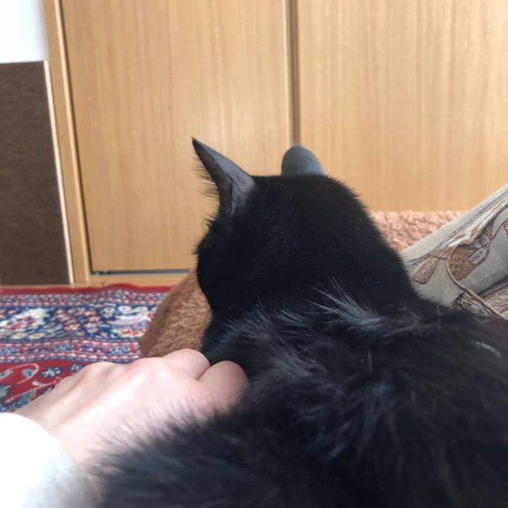 Cd446396 ba1e 4a2d bf9c 780e9d7d45ea 1552107902420