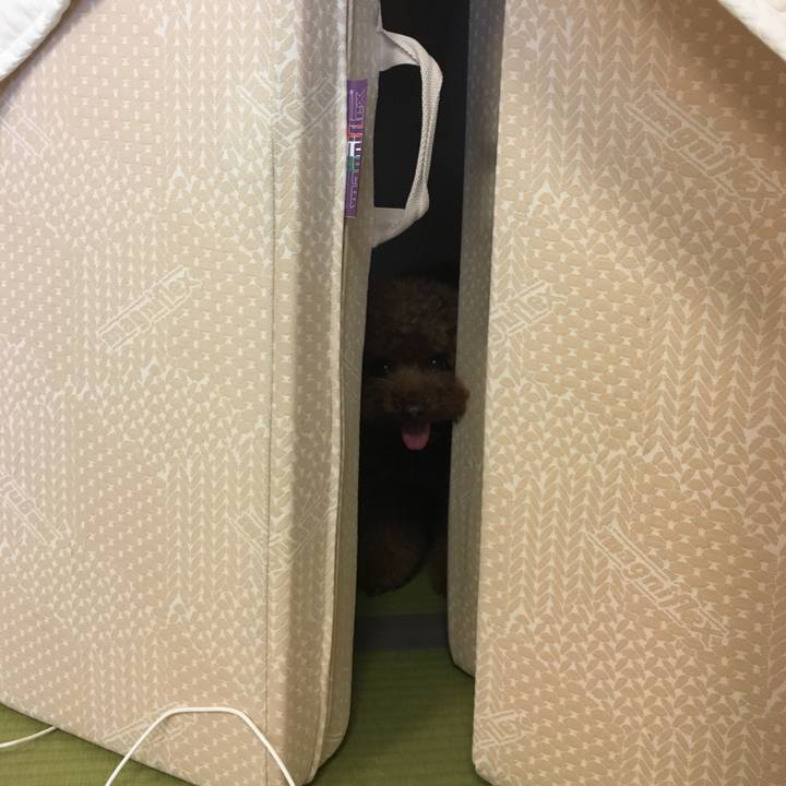 Cd44b758 a777 4b09 9886 46412c08cef2 1564013302117