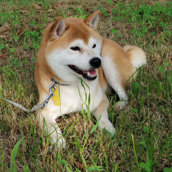 Cd44d1b6 449a 46d0 9806 2c707484847c 1568038754008