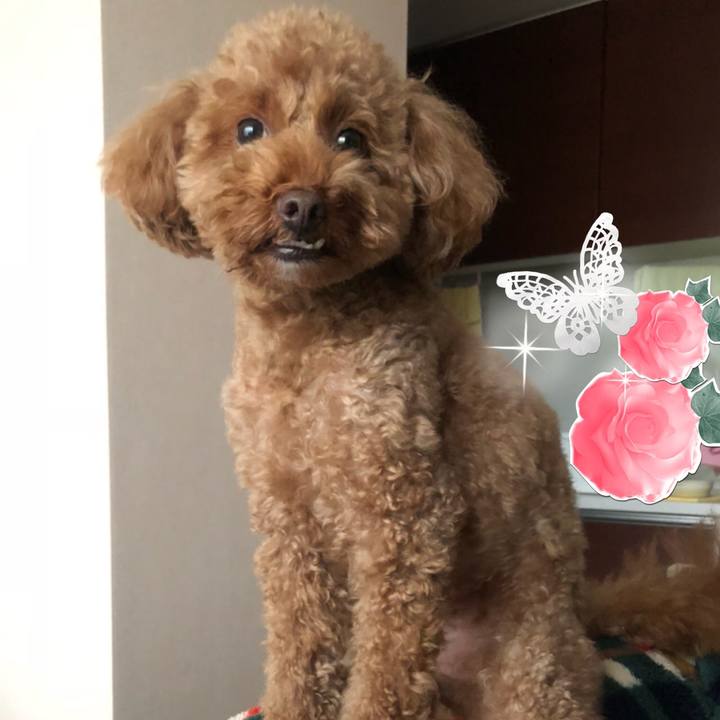 Cd450da4 0508 46a3 9488 5cd53364b448 1539216192205