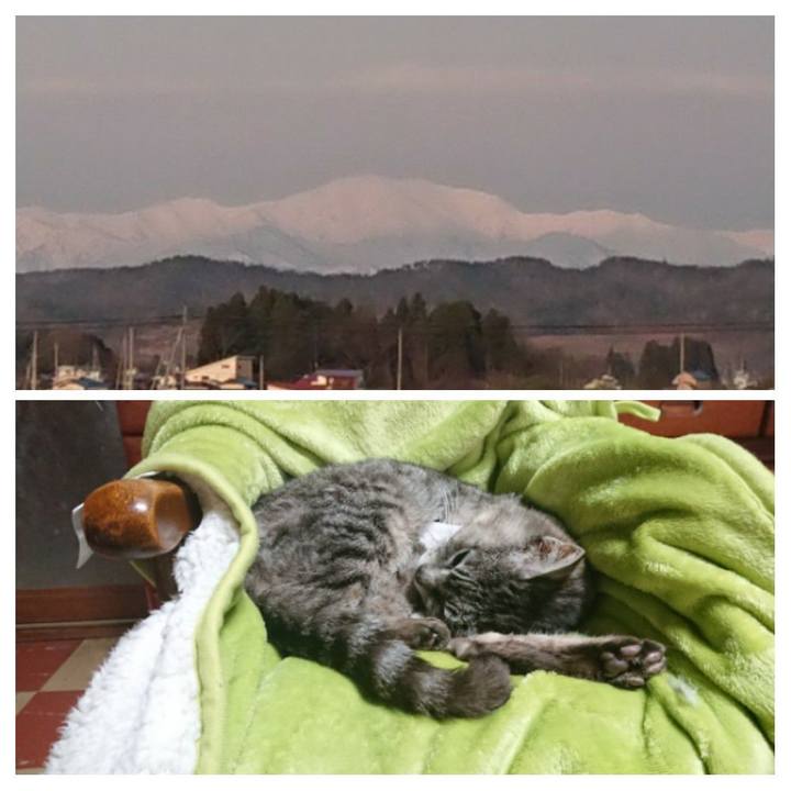 Cd4518af 85af 47cd a8c0 8e63540eadbb 1587881881662