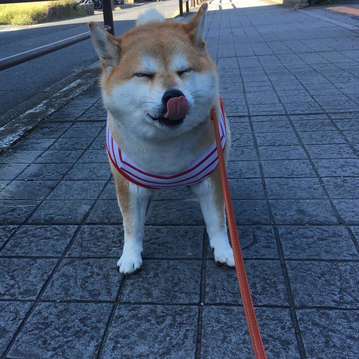 Cd452d7d 89fd 499c 9711 947808858d6c 1570665684638