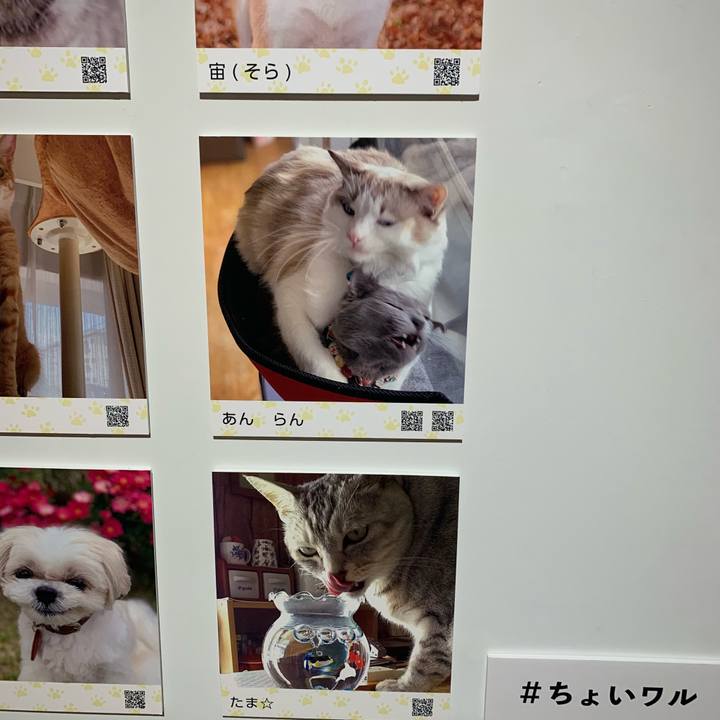 Cd458b08 dbb1 40d8 ba85 ea97dd06c312 1592125327408